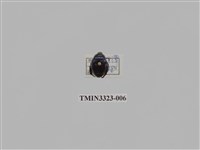 藏品(台灣琉璃豆金龜)的圖片